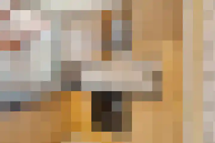 Hugo Verrieststraat 14 Den Haag thumbnail 10