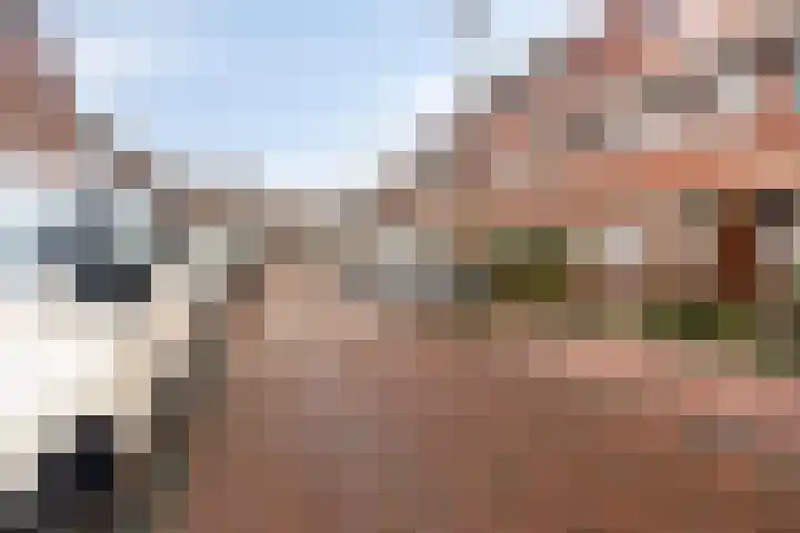 Hugo Verrieststraat 14 Den Haag thumbnail 31