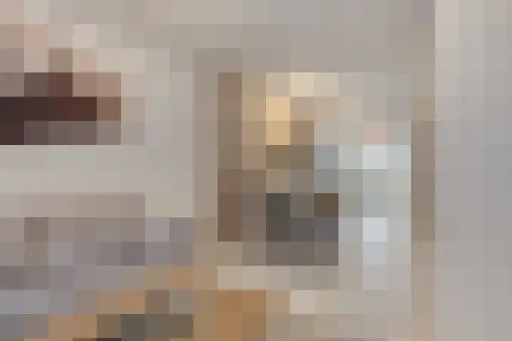Hugo Verrieststraat 14 Den Haag thumbnail 5