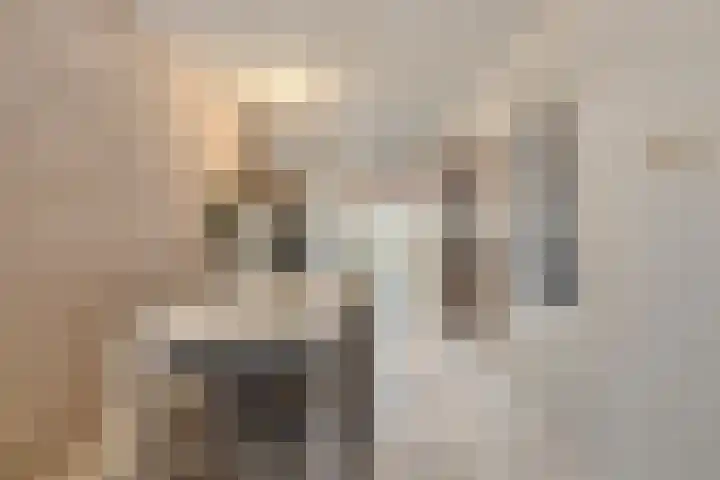 Hugo Verrieststraat 14 Den Haag thumbnail 6