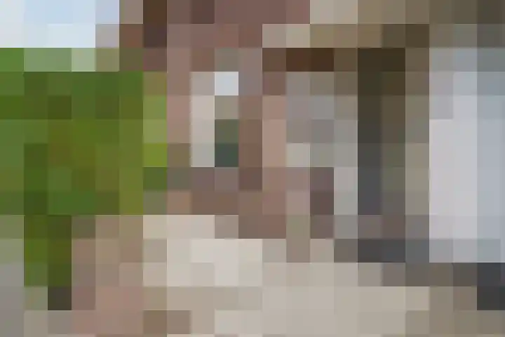 Hugo Verrieststraat 4 Den Haag thumbnail 13