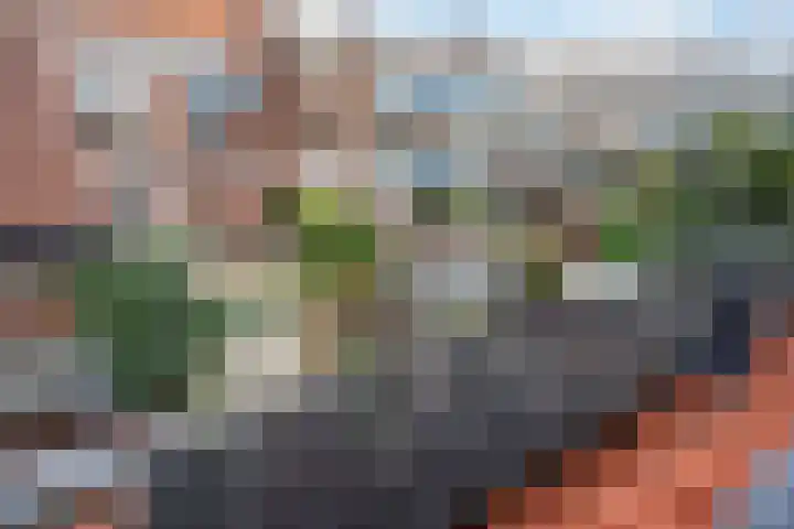 Hugo Verrieststraat 4 Den Haag thumbnail 33
