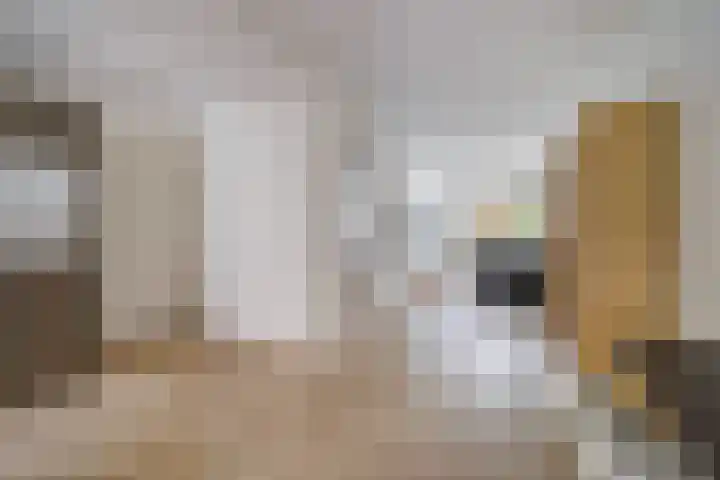 Hugo Verrieststraat 4 Den Haag thumbnail 35
