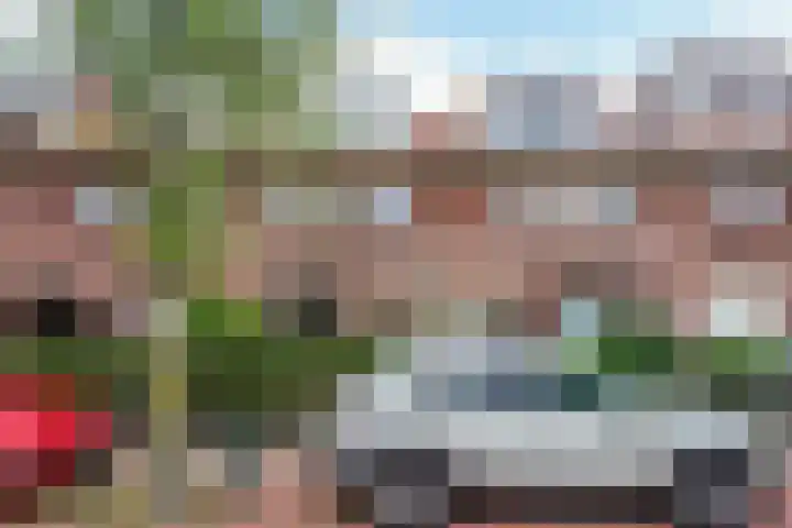 Hugo Verrieststraat 4 Den Haag thumbnail 43