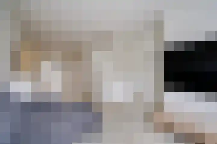Hugo Verrieststraat 4 Den Haag thumbnail 5