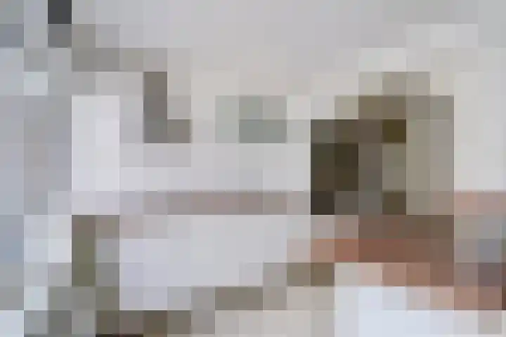 Hugo Verrieststraat 4 Den Haag thumbnail 7