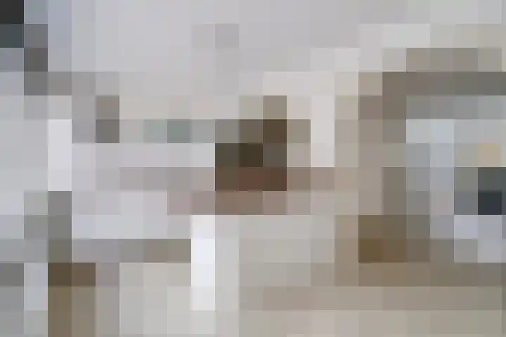 Hugo Verrieststraat 4 Den Haag thumbnail 8