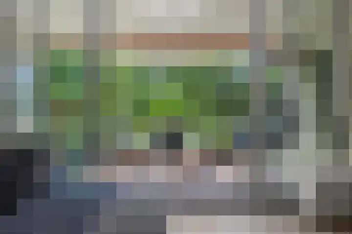 Hugo Verrieststraat 45 Tilburg thumbnail 10