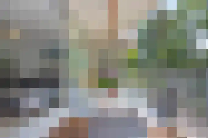 Hugo Verrieststraat 45 Tilburg thumbnail 11