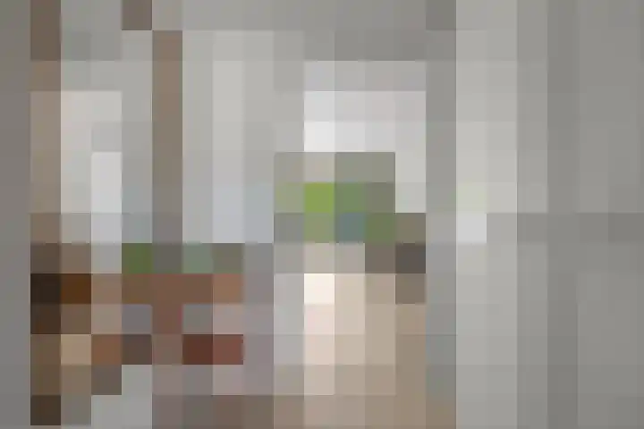 Hugo Verrieststraat 45 Tilburg thumbnail 15