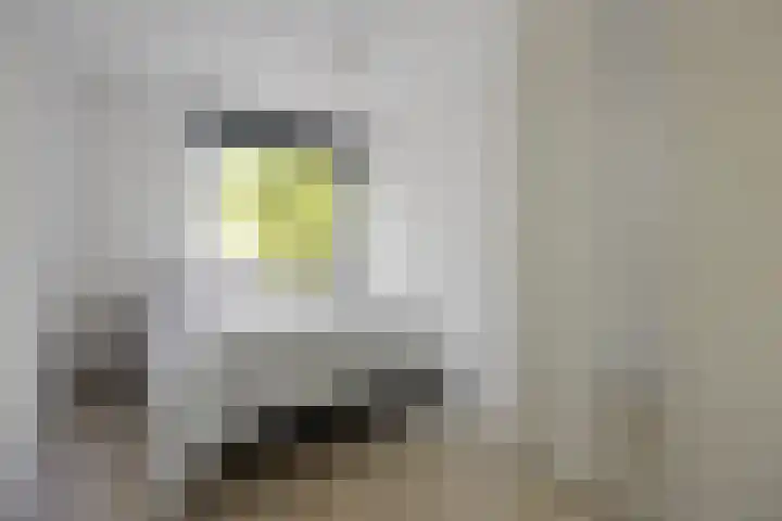 Hugo Verrieststraat 45 Tilburg thumbnail 19