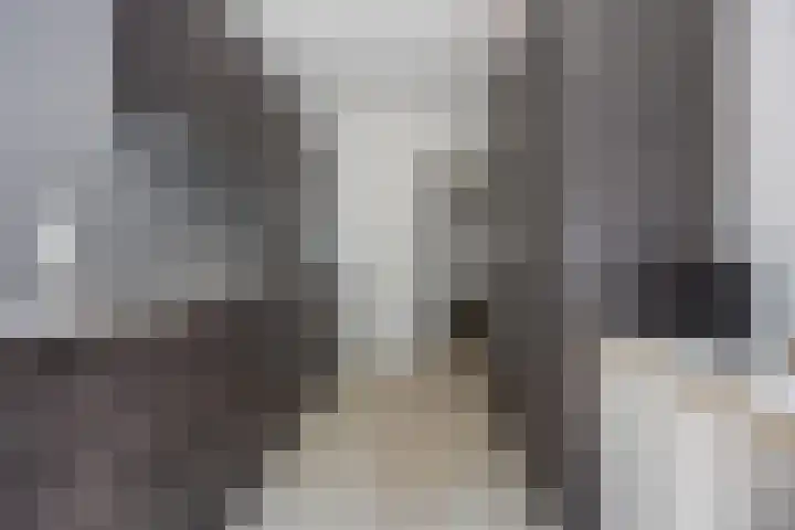 Hugo Verrieststraat 45 Tilburg thumbnail 7
