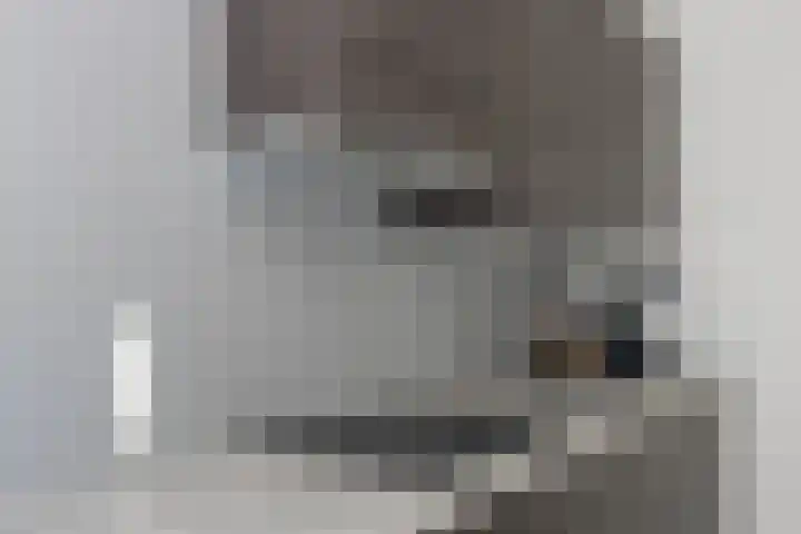Hugo Verrieststraat 45 Tilburg thumbnail 8