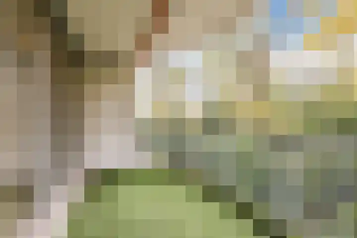 Hugo Verrieststraat 51 Tilburg thumbnail 5