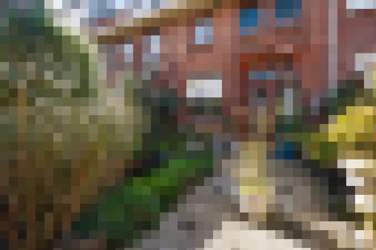 Hugo Verrieststraat 8 Den Haag thumbnail 18
