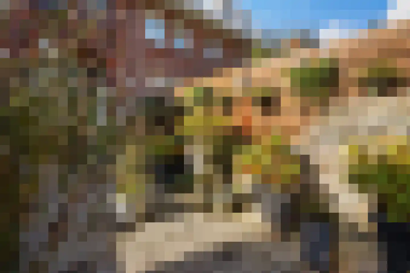 Hugo Verrieststraat 8 Den Haag thumbnail 19