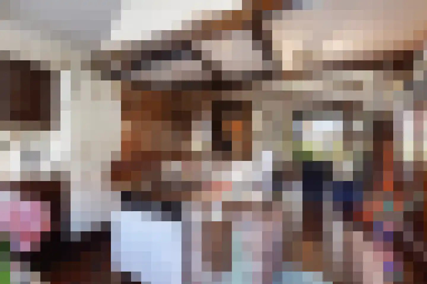 Hugo Verrieststraat 8 Den Haag thumbnail 5