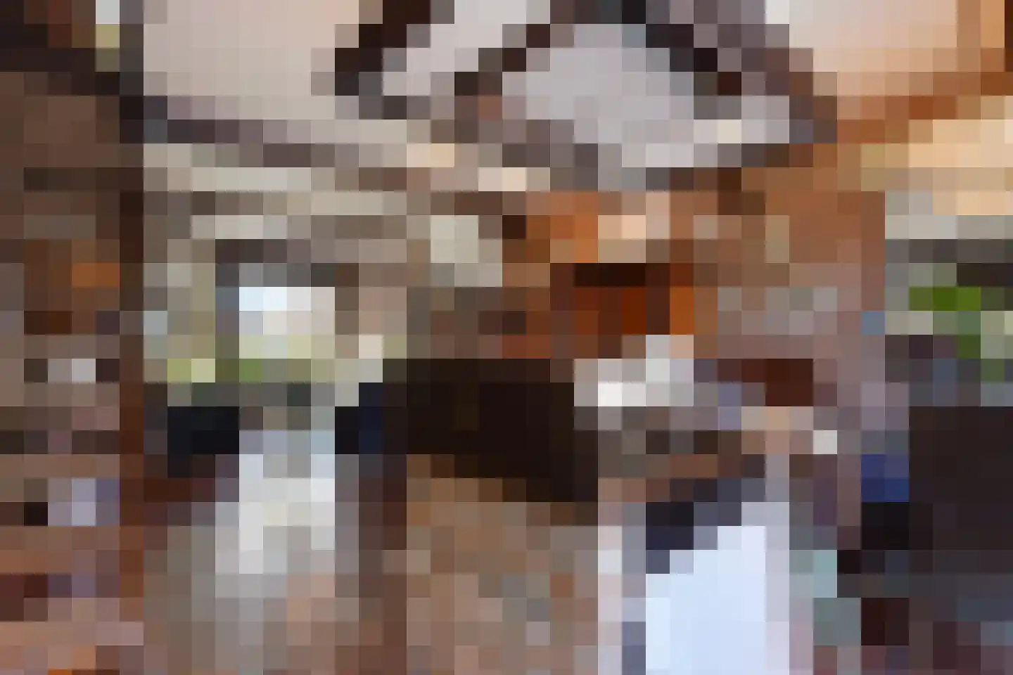 Hugo Verrieststraat 8 Den Haag thumbnail 7