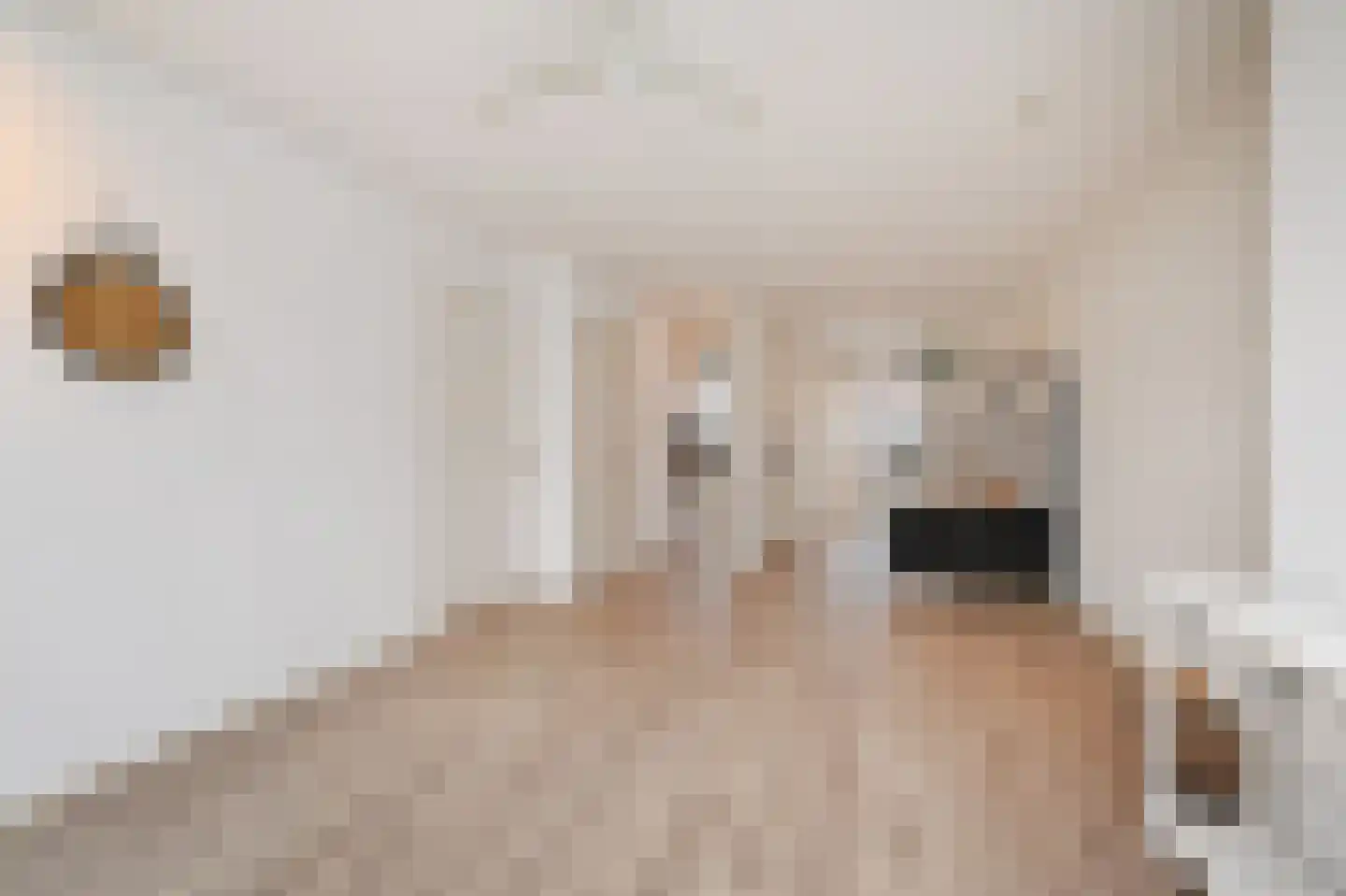 Hugo Verrieststraat 99 A Den Haag thumbnail 7