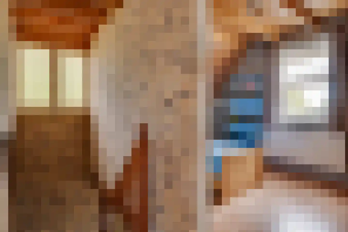 Hugterweg 7 Someren thumbnail 19