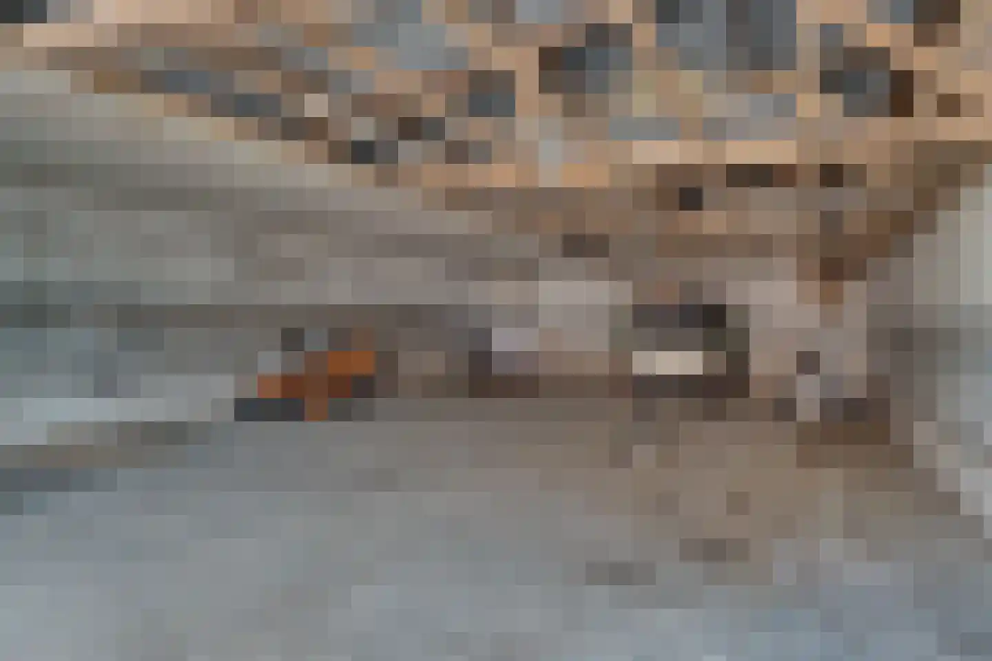 Hugterweg 7 Someren thumbnail 44