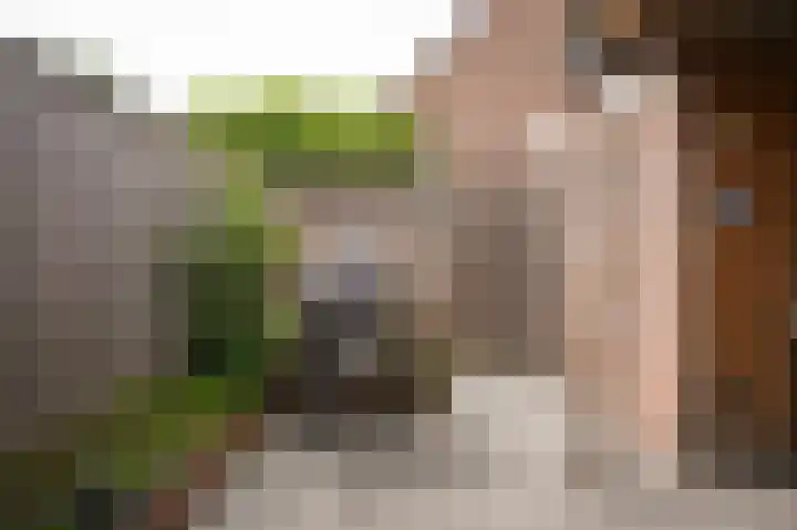 Huibersakker 13 Zaltbommel thumbnail 31