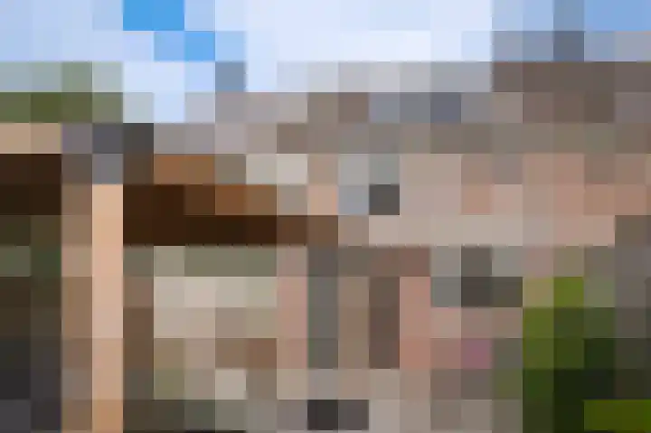 Huibersakker 13 Zaltbommel thumbnail 33