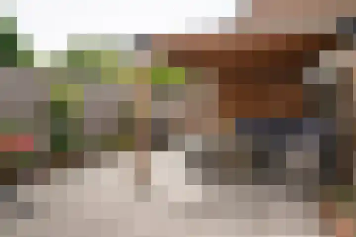 Huibersakker 13 Zaltbommel thumbnail 34