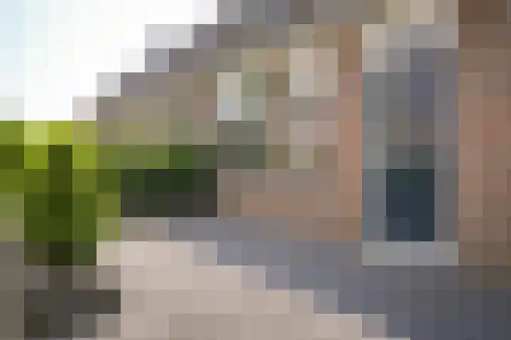Huibersakker 13 Zaltbommel thumbnail 36