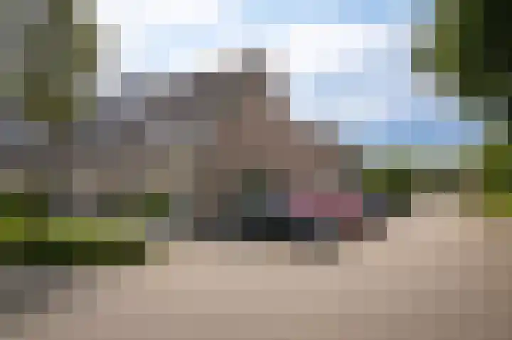 Huibersakker 13 Zaltbommel thumbnail 37