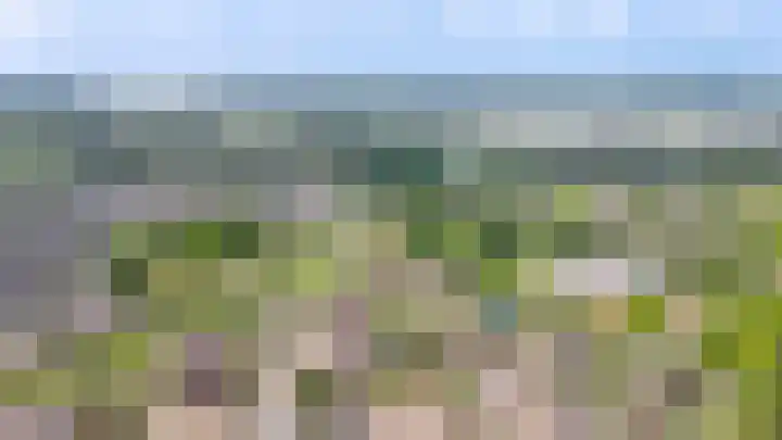 Huibersakker 13 Zaltbommel thumbnail 39
