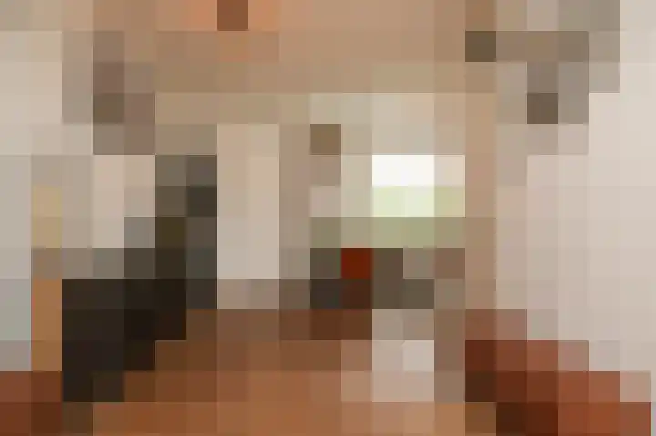 Huibersakker 13 Zaltbommel thumbnail 4
