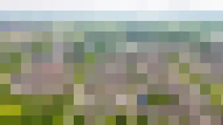 Huibersakker 13 Zaltbommel thumbnail 41