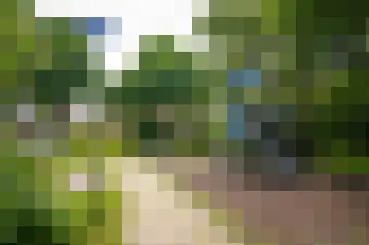 Huibersakker 13 Zaltbommel thumbnail 42
