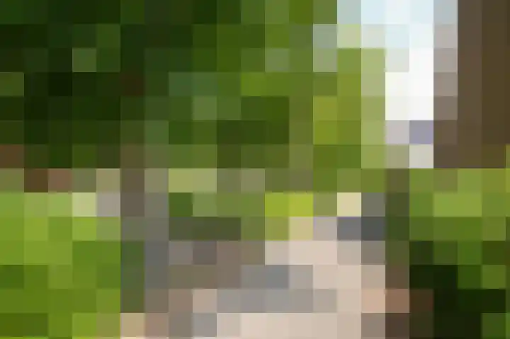 Huibersakker 13 Zaltbommel thumbnail 43