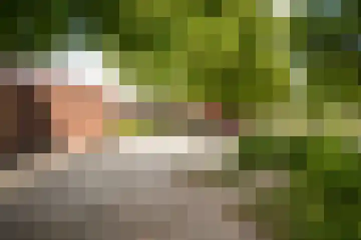 Huibersakker 13 Zaltbommel thumbnail 44
