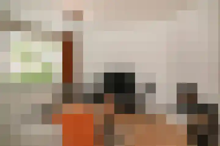 Huibersakker 13 Zaltbommel thumbnail 5