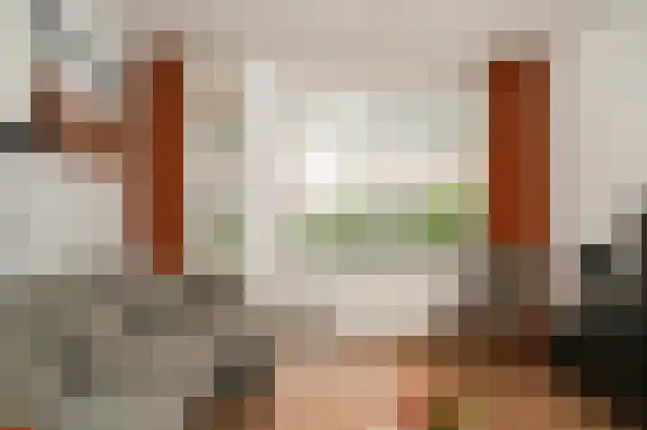 Huibersakker 13 Zaltbommel thumbnail 6