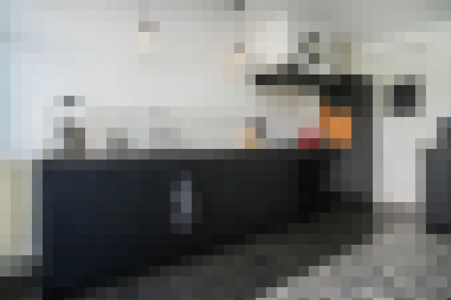 Huibersakker 15 Zaltbommel thumbnail 14