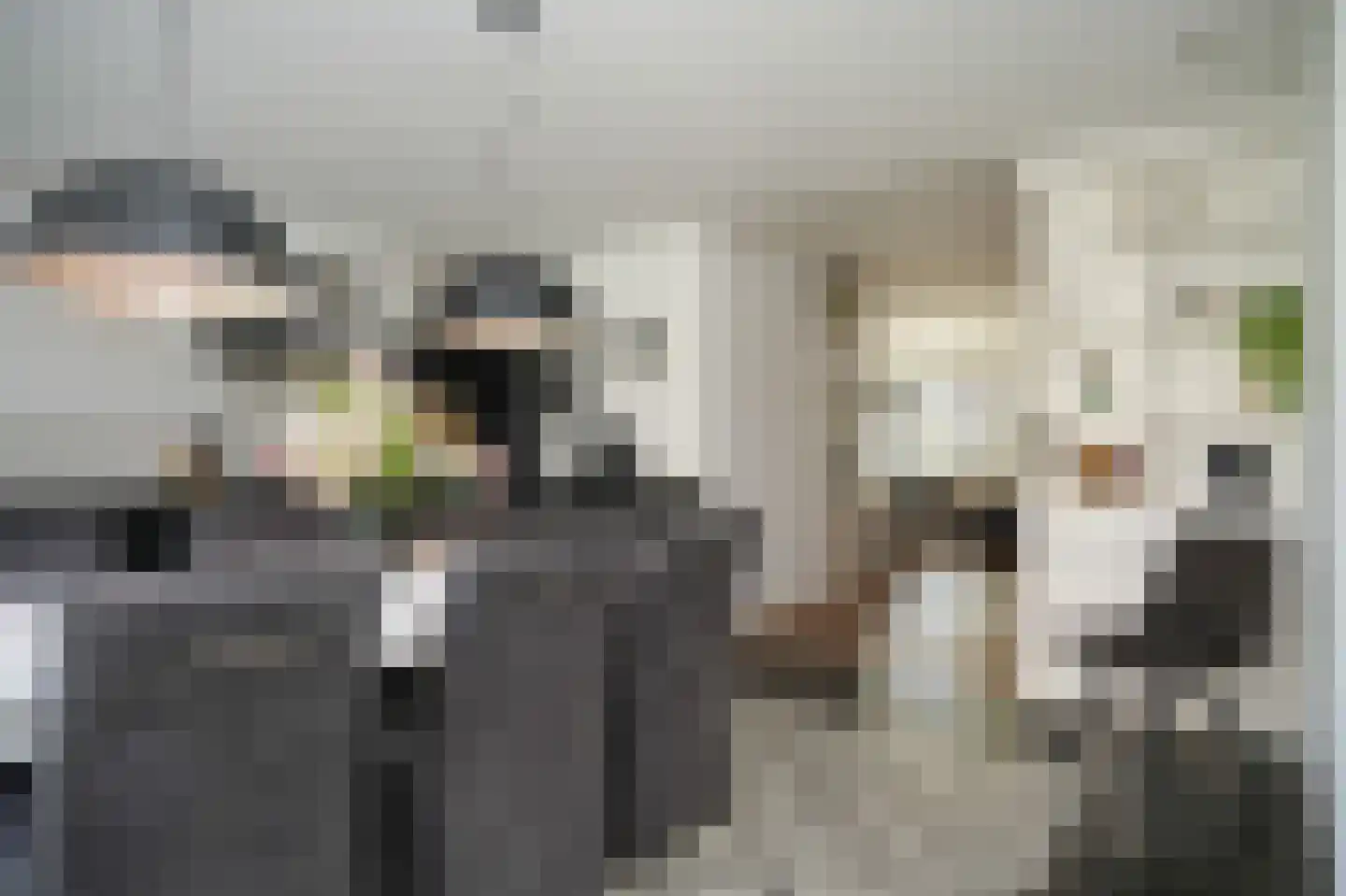 Huibersakker 15 Zaltbommel thumbnail 18