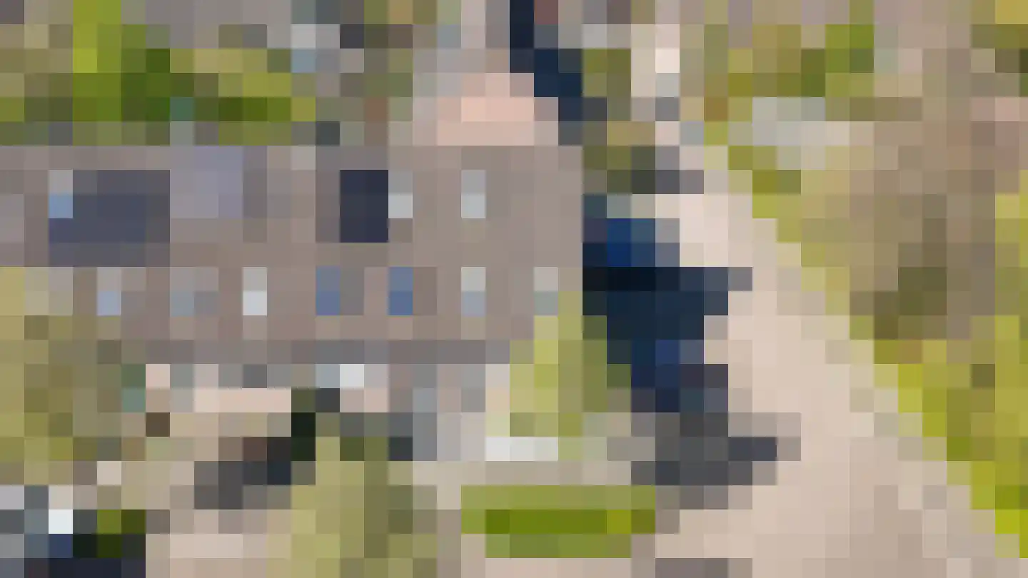 Huibersakker 15 Zaltbommel thumbnail 44
