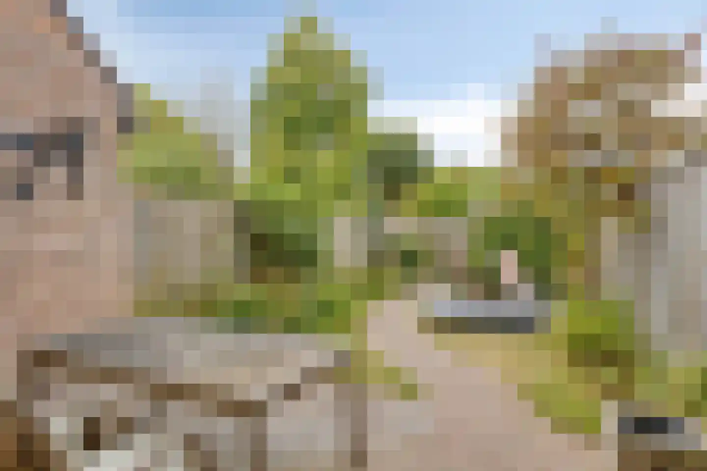 Huibersakker 9 Zaltbommel thumbnail 26