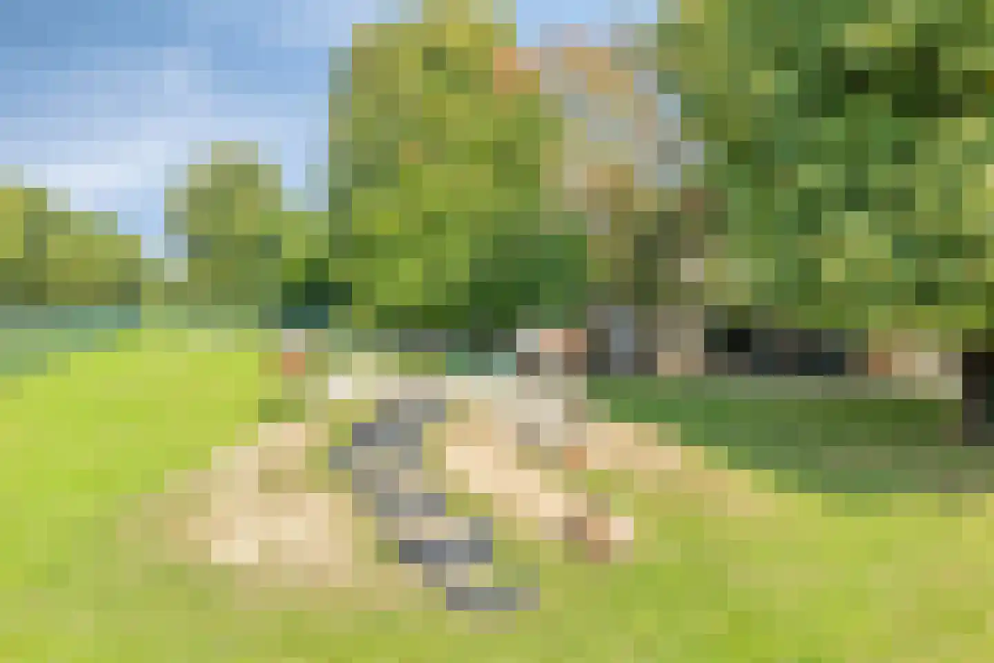 Huibersakker 9 Zaltbommel thumbnail 34