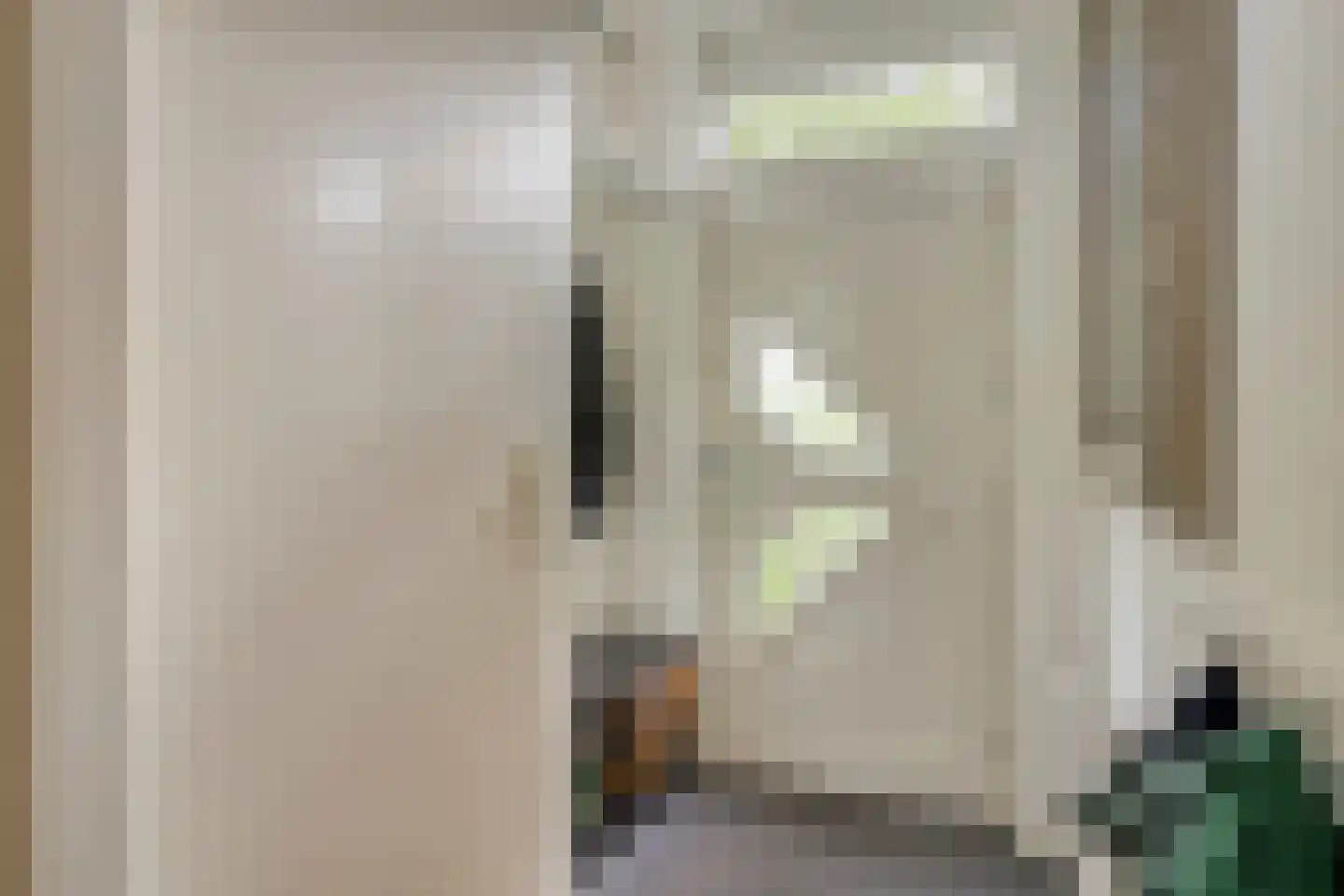 Huibersakker 9 Zaltbommel thumbnail 7