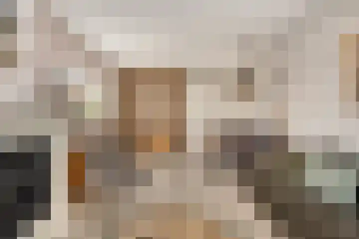Huibert Pootlaan 12 Alkmaar thumbnail 11