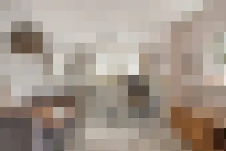 Huibert Pootlaan 12 Alkmaar thumbnail 13
