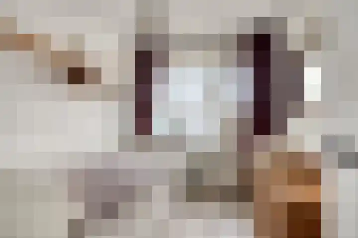 Huibert Pootlaan 12 Alkmaar thumbnail 19