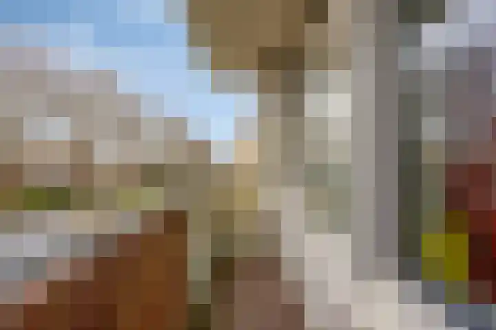 Huibert Pootlaan 12 Alkmaar thumbnail 23