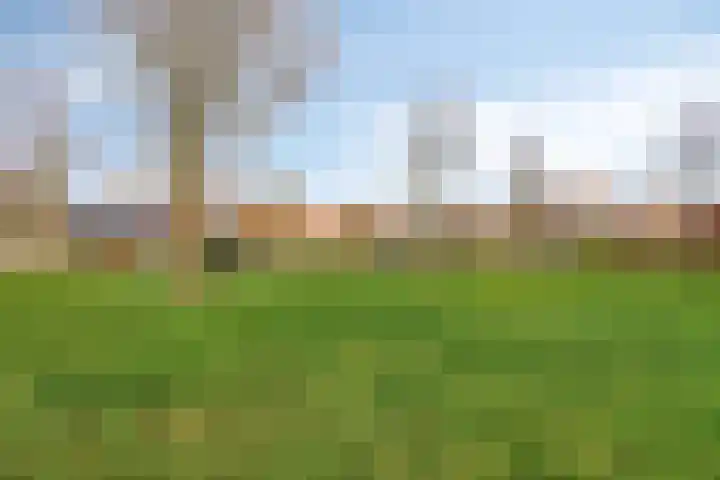 Huibert Pootlaan 12 Alkmaar thumbnail 28