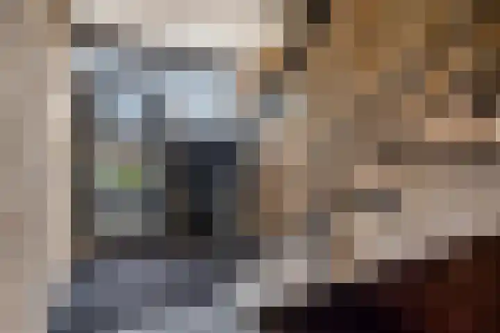 Huibert Pootlaan 12 Alkmaar thumbnail 6